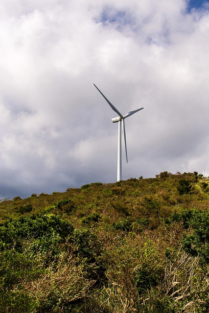 Futuro Verde: La Importancia De Invertir En Turbinas Eólicas.