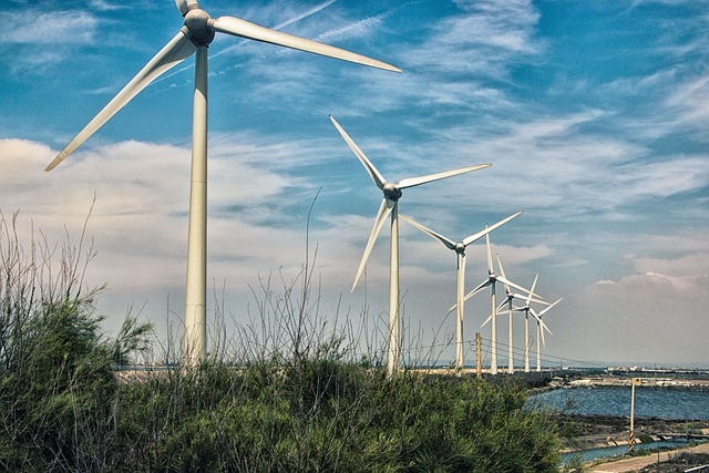 Viento A Favor: Cómo Las Turbinas Eólicas Están Revolucionando La Energía Global